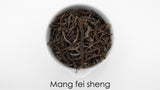Mang fei sheng
